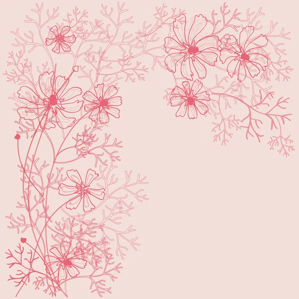 Очертания цветов Cosmea — стоковый вектор