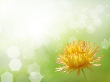 Bokeh blur flower clipart