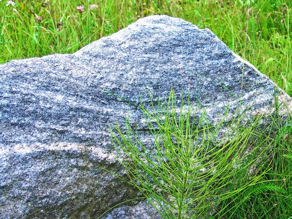 stock image Gray stone