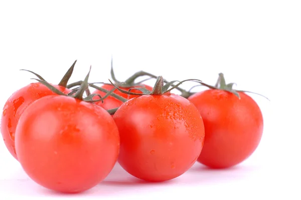 Makro Białym Tle Pomidorów Cherry — Zdjęcie stockowe
