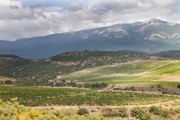 stock image Landscape