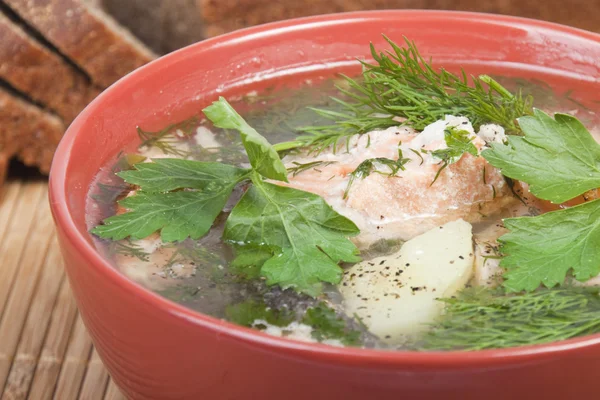 Soup of the trout — Stock Photo, Image