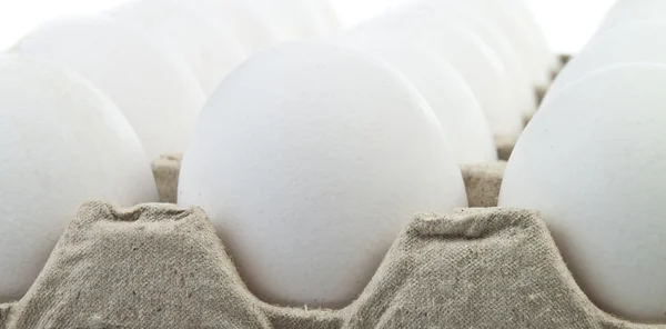 Huevos blancos —  Fotos de Stock