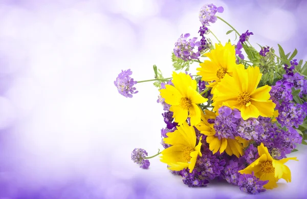 Background from a bouquet of wild flowers — Stock Photo, Image