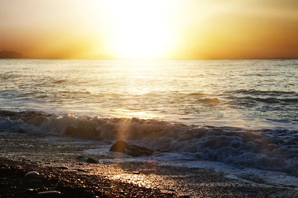 Stock image Sea and beach