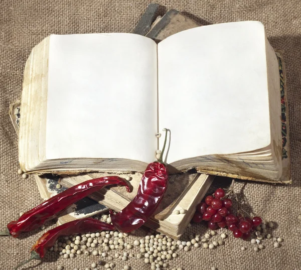 あなたのレシピを記録する古い中世の本 — ストック写真