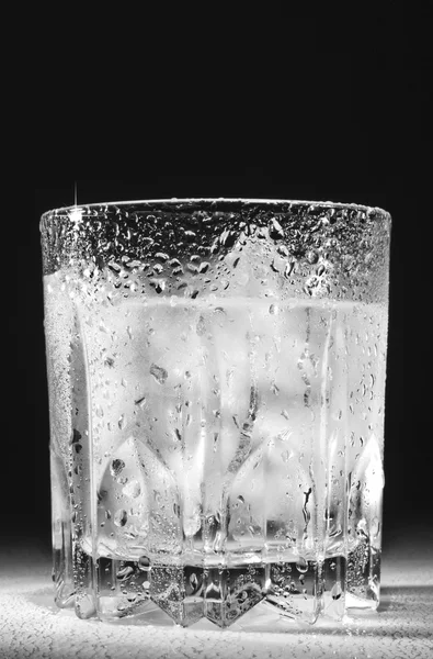 Wodka oder Wasser — Stockfoto