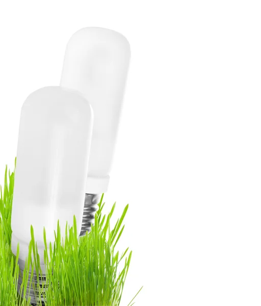 Žárovka na trávě — Stock fotografie