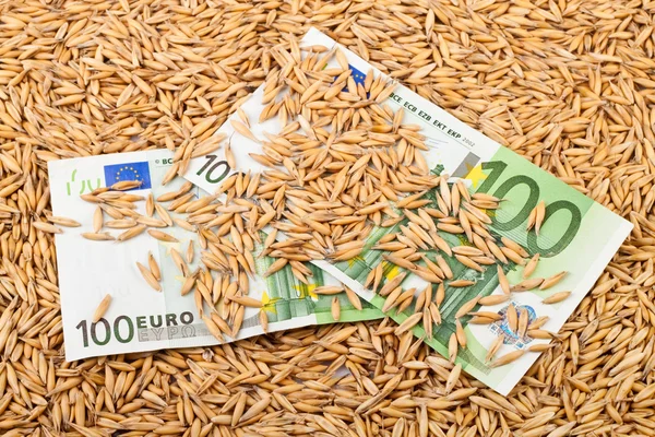 Oats and euro banknotes — Stock Photo, Image