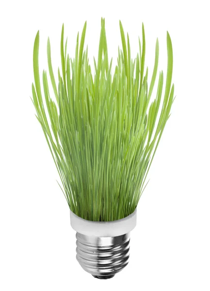 Bombilla de luz sobre hierba — Foto de Stock