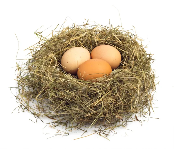 Jajka w gnieździe — Zdjęcie stockowe