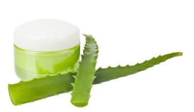 Aloe yaprakları