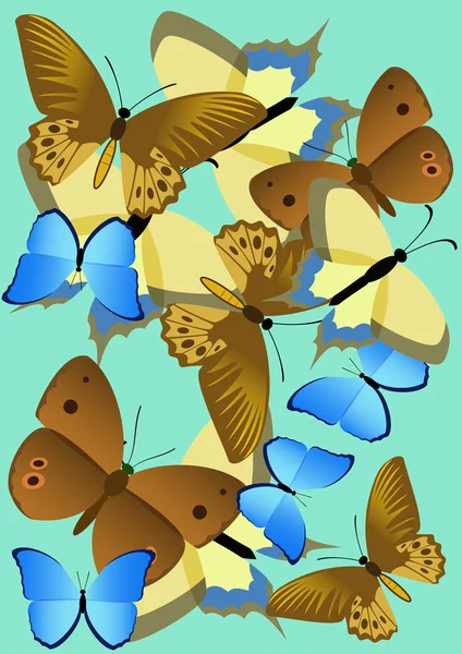 Butterflies. — Stock Vector