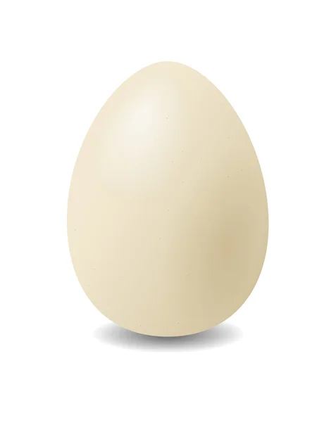 Hen's egg. — Stock Vector