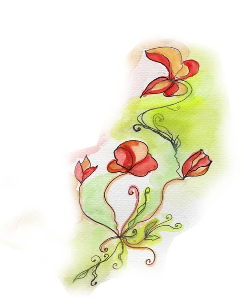 Hermosa amapola ilustrada — Foto de Stock