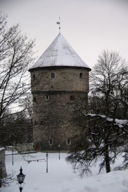 Tallinn, kuleler ve eski şehir duvarları