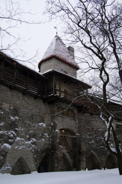 Tallinn, kuleler ve eski şehir duvarları