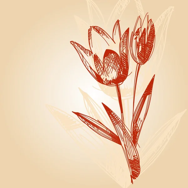 Illustrazione del tulipano — Vettoriale Stock