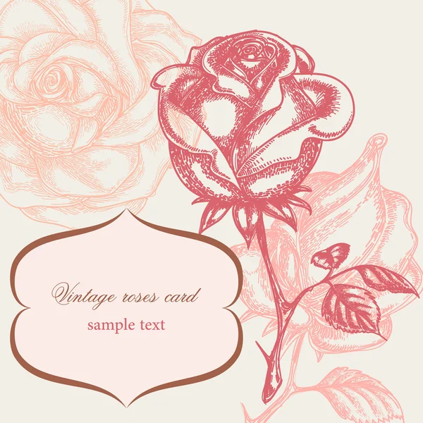 Vintage rose carte florale — Image vectorielle