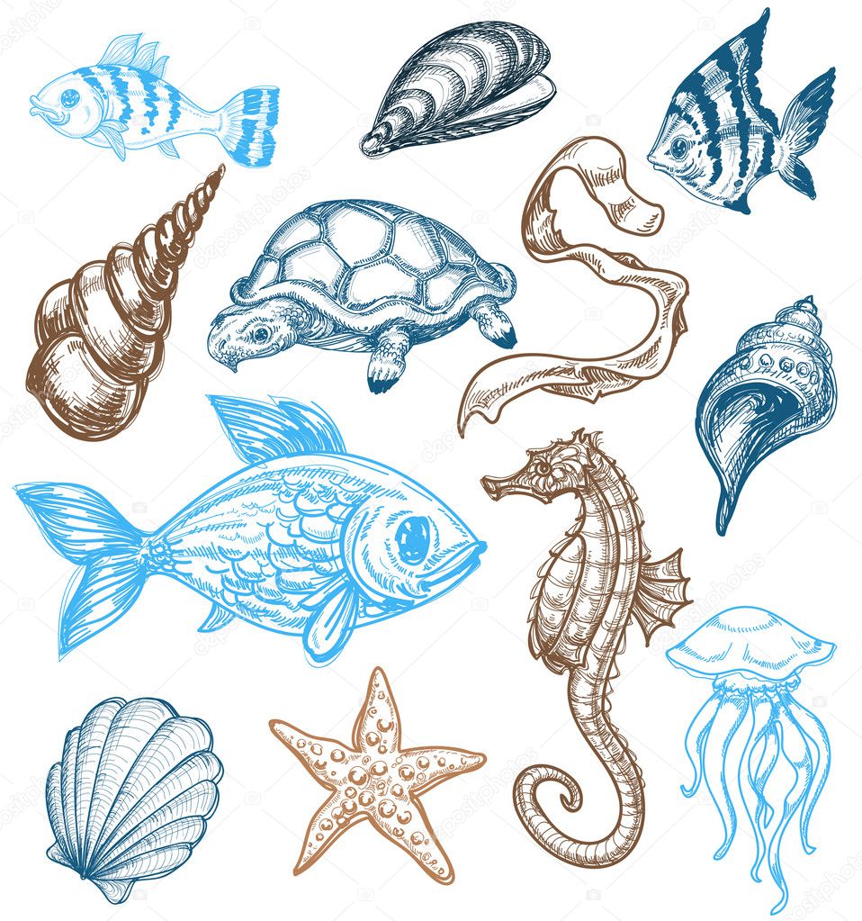 Marine life collection
