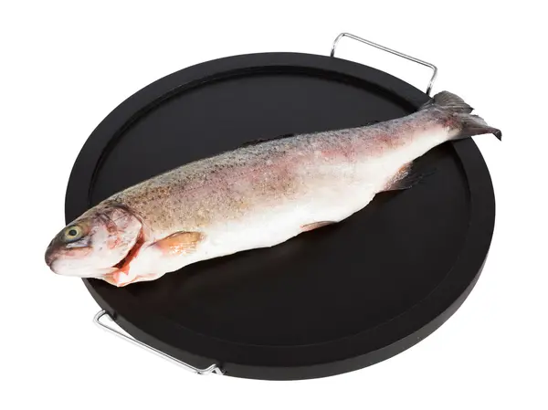 Trout isolated with clipping path — Stock Photo, Image