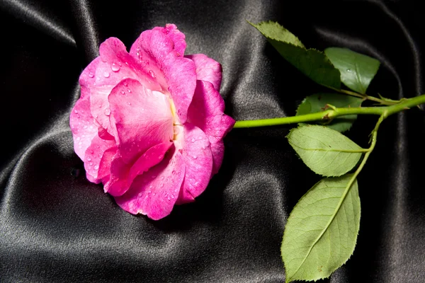 Червона троянда над чорним атласом — стокове фото
