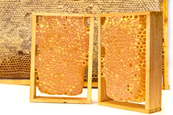Honungskakor Sammansättning — Stockfoto
