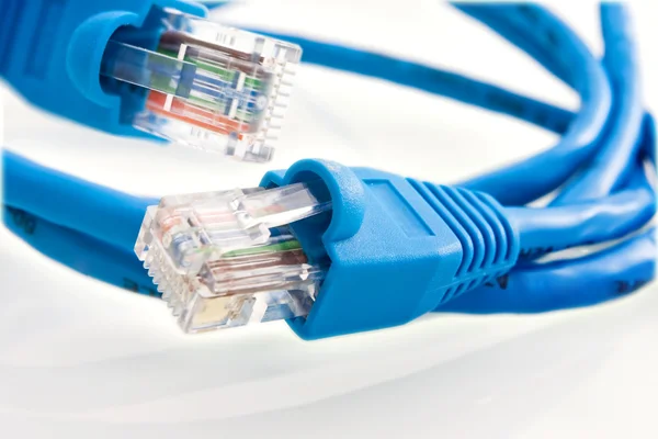 Sieć kabel rj45 — Zdjęcie stockowe