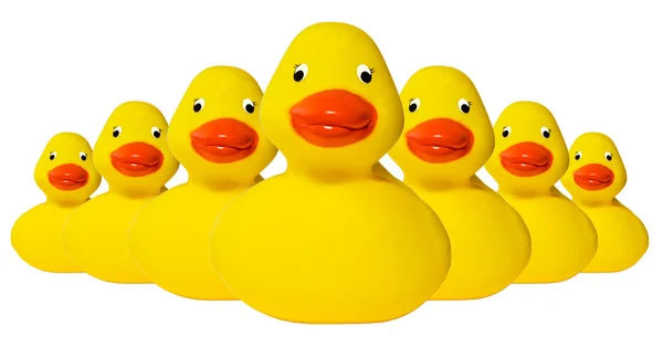 Rubber duckies fleet — Stock Photo, Image