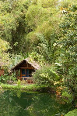 Amazon Havzası Ekvator lüks egzotik Hut