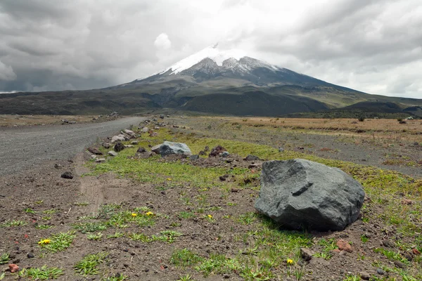 stock image Cotopaxi Volcano Ecuador