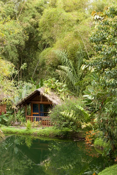 stock image Luxurious Exotic Hut In Amazon Basin Ecuador