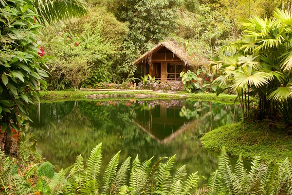 Stock image Luxurious Exotic Hut In Amazon Basin Ecuador