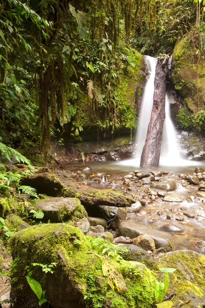 Amazonian Waterfall — Stock Photo, Image