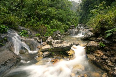 Machay River Waterfall clipart