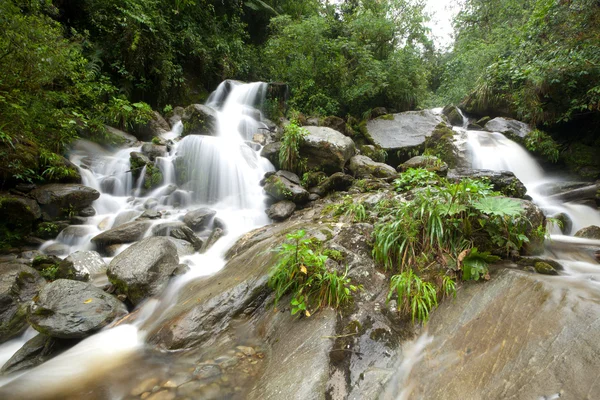 stock image Waterfall On Machay River