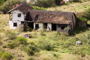 Abandoned Farmhouse clipart