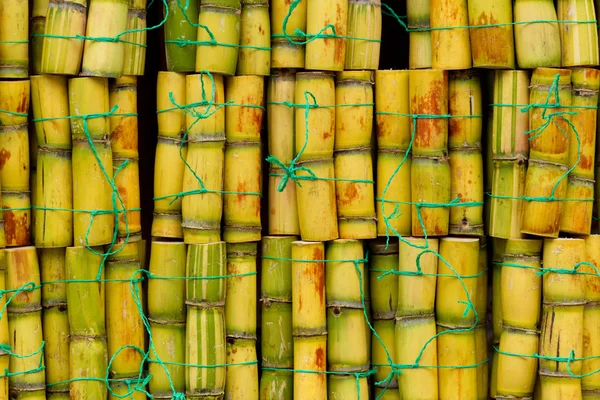 Świeże Kawałki Trzciny Cukrowej Ekstrakcji Soku Małe Opakowanie Sprzedaż Ecuador — Zdjęcie stockowe