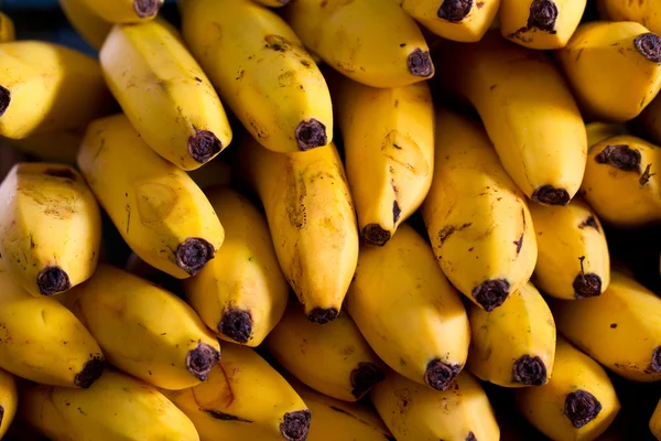 stock image Banana Fruits