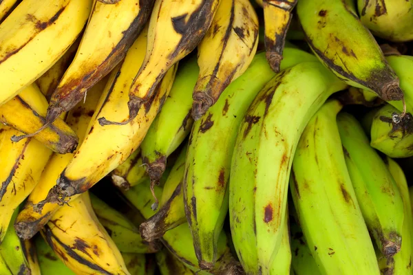 Sárga és zöld banán — Stock Fotó