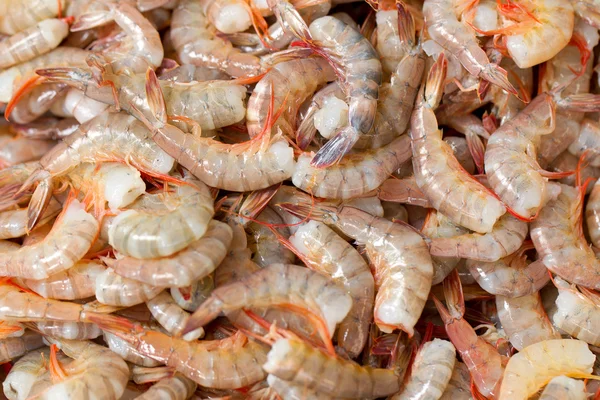 Fresh Shrimp Stock Picture