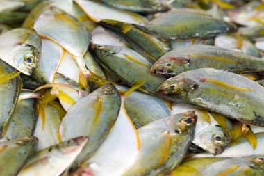 Fresh Oceanic Fish At The Local Market