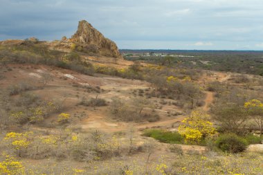 Cerro del muerto