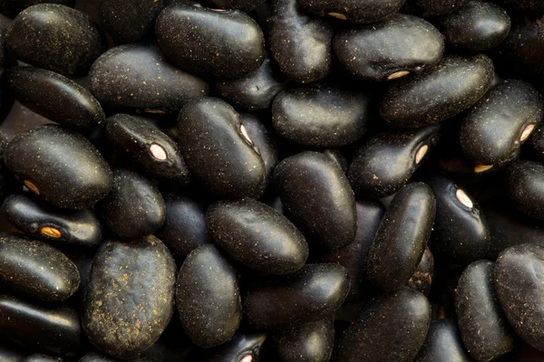 stock image Black Beans