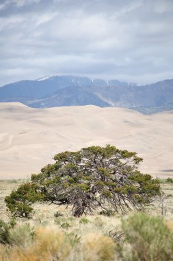 Great Sand Dunes Nation Park clipart