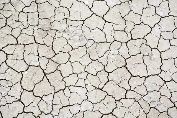 Textur des trockenen rissigen Bodens — Stockfoto