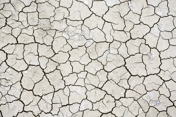 Textura suché popraskané půdy — Stock fotografie