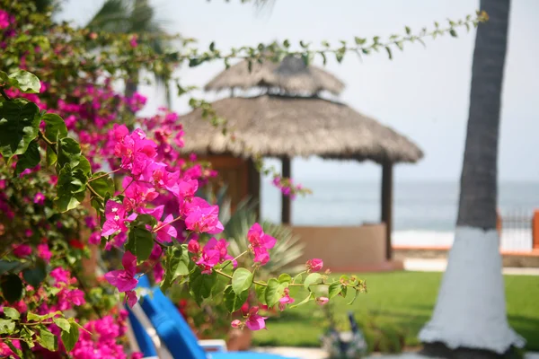 Cabana mexicana junto à praia e à água — Fotografia de Stock