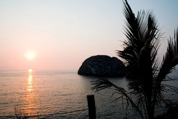 Пальмове дерево і острів, розташовані на тлі заходу сонця — стокове фото
