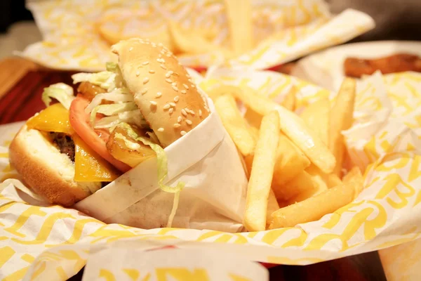 stock image Burger and fries